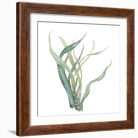 Sea Tangle IV-Sandra Jacobs-Framed Giclee Print