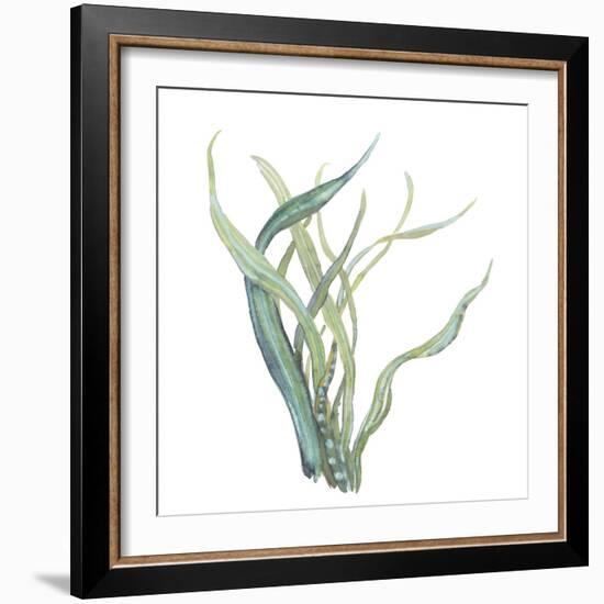 Sea Tangle IV-Sandra Jacobs-Framed Giclee Print