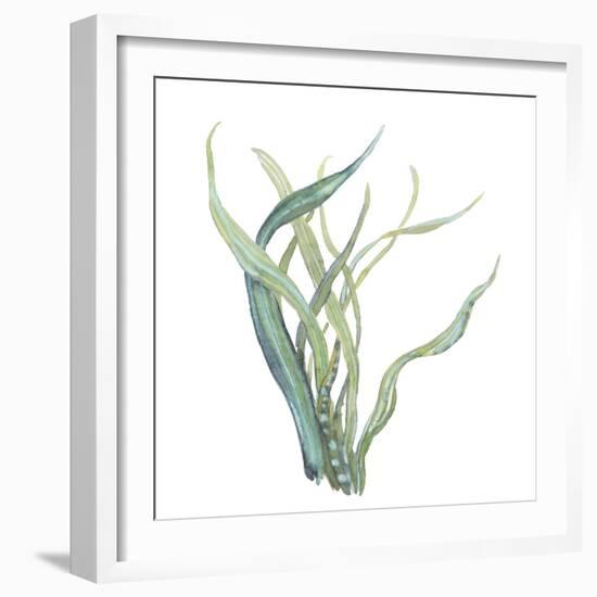 Sea Tangle IV-Sandra Jacobs-Framed Giclee Print