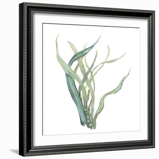 Sea Tangle IV-Sandra Jacobs-Framed Giclee Print