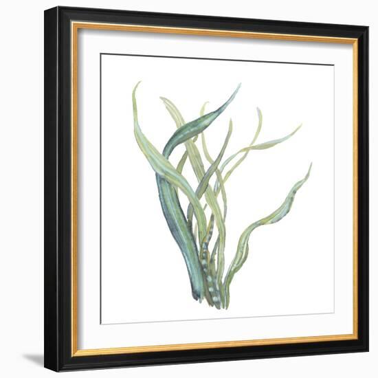 Sea Tangle IV-Sandra Jacobs-Framed Giclee Print