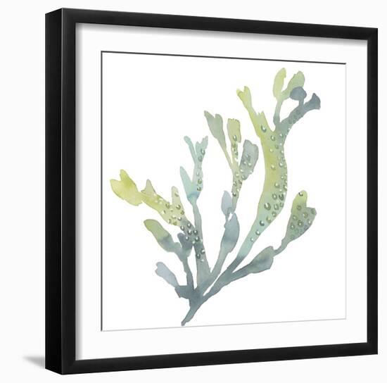 Sea Tangle V-Sandra Jacobs-Framed Giclee Print