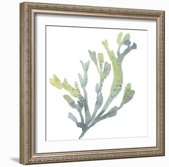 Sea Tangle V-Sandra Jacobs-Framed Giclee Print