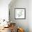 Sea Tangle V-Sandra Jacobs-Framed Giclee Print displayed on a wall