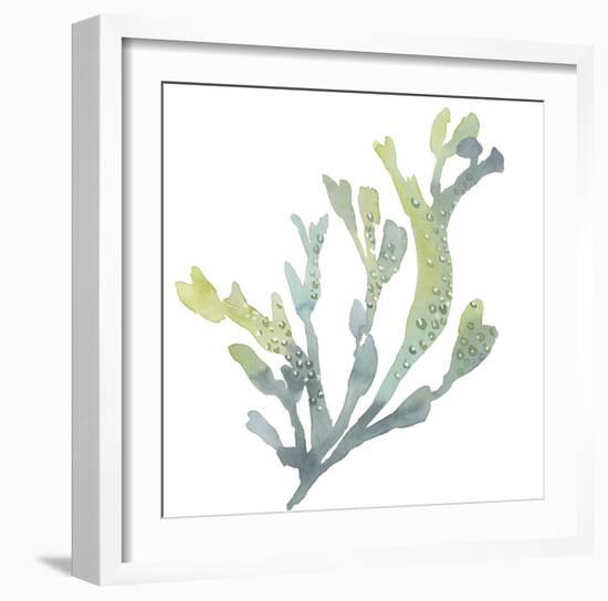 Sea Tangle V-Sandra Jacobs-Framed Giclee Print