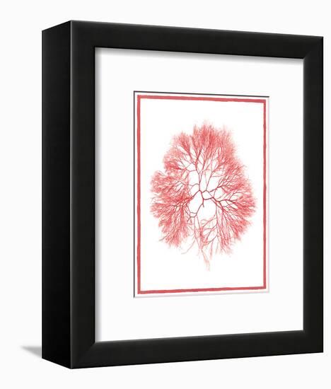 Sea Things IV-Sarah Chilton-Framed Premium Giclee Print