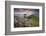 Sea Thrift (Armeria Maritima) growing on the Cornish clifftops at The Rumps, looking towards The Mo-Adam Burton-Framed Photographic Print