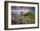 Sea Thrift (Armeria Maritima) growing on the Cornish clifftops at The Rumps, looking towards The Mo-Adam Burton-Framed Photographic Print