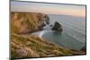 Sea thrift growing on cliffs overlooking Bedruthan Steps, Cornwall, England, United Kingdom, Europe-Stephen Spraggon-Mounted Photographic Print