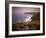 Sea Thrift growing on the clifftops above Land's End, Cornwall, England. Spring (May) 2009-Adam Burton-Framed Photographic Print