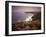 Sea Thrift growing on the clifftops above Land's End, Cornwall, England. Spring (May) 2009-Adam Burton-Framed Photographic Print