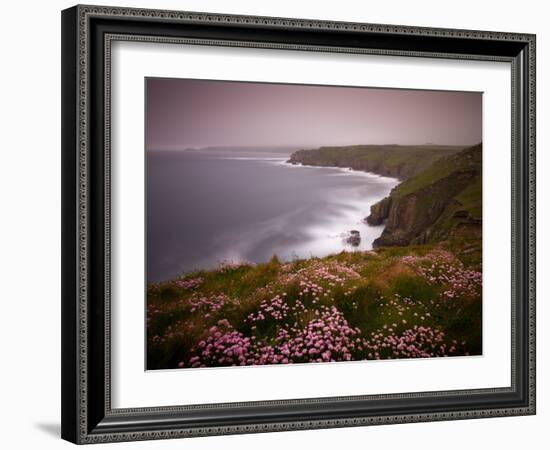 Sea Thrift growing on the clifftops above Land's End, Cornwall, England. Spring (May) 2009-Adam Burton-Framed Photographic Print