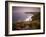 Sea Thrift growing on the clifftops above Land's End, Cornwall, England. Spring (May) 2009-Adam Burton-Framed Photographic Print