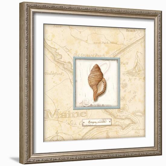 Sea Treasure IV-Charlene Audrey-Framed Art Print