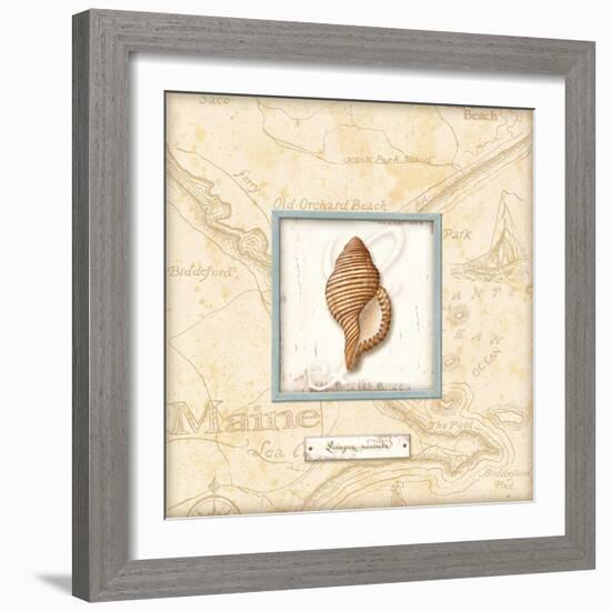 Sea Treasure IV-Charlene Audrey-Framed Art Print