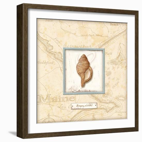 Sea Treasure IV-Charlene Audrey-Framed Art Print