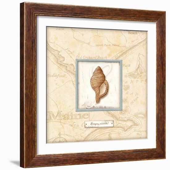 Sea Treasure IV-Charlene Audrey-Framed Art Print