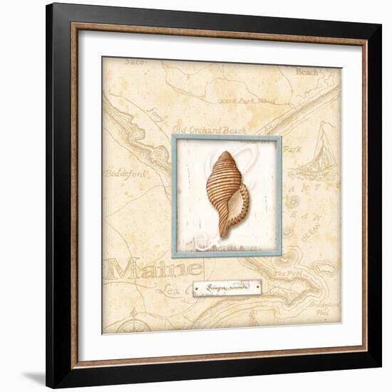 Sea Treasure IV-Charlene Audrey-Framed Art Print