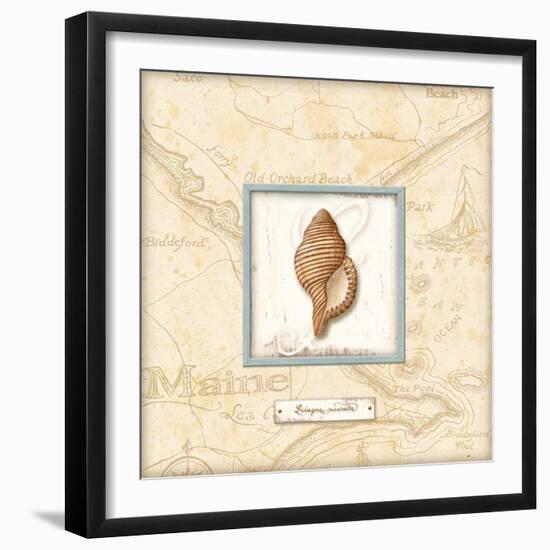 Sea Treasure IV-Charlene Audrey-Framed Art Print