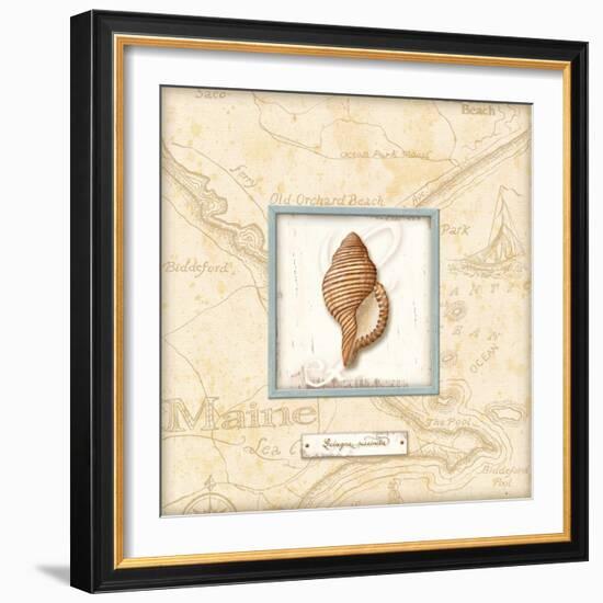 Sea Treasure IV-Charlene Audrey-Framed Art Print