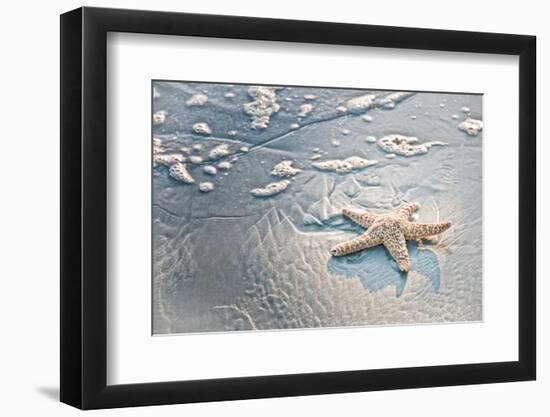 Sea Treasure-Mary Lou Johnson-Framed Photo