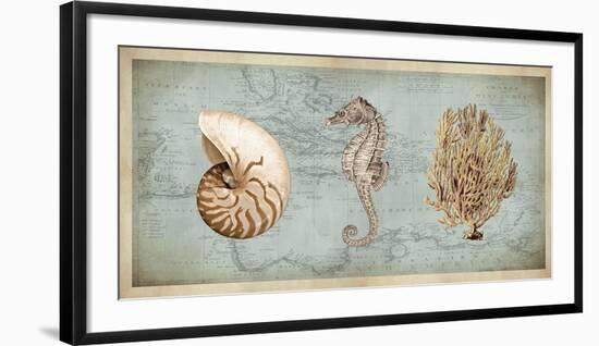 Sea Treasures I-Deborah Devellier-Framed Giclee Print