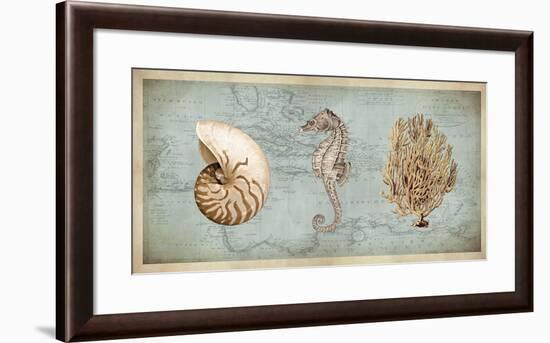 Sea Treasures I-Deborah Devellier-Framed Giclee Print