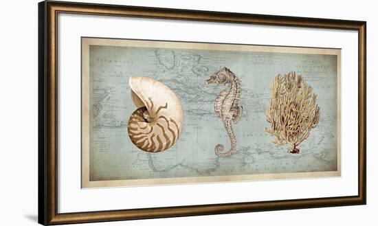 Sea Treasures I-Deborah Devellier-Framed Giclee Print