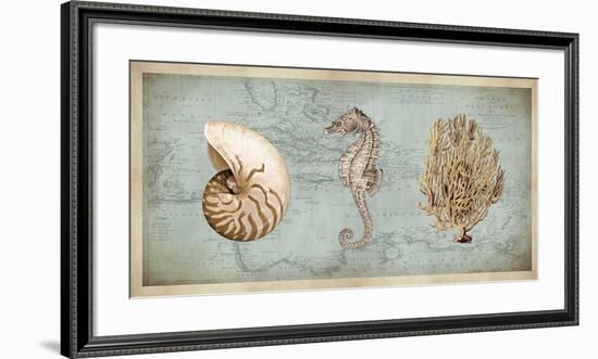 Sea Treasures I-Deborah Devellier-Framed Giclee Print