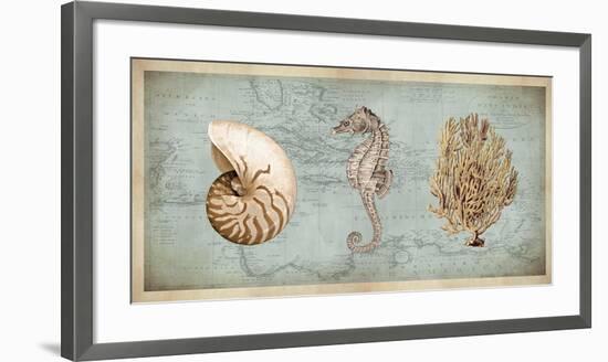 Sea Treasures I-Deborah Devellier-Framed Giclee Print