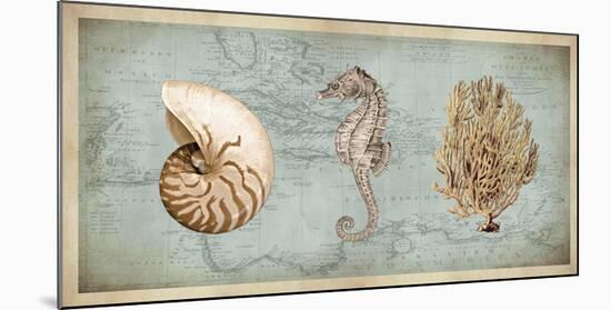 Sea Treasures I-Deborah Devellier-Mounted Giclee Print