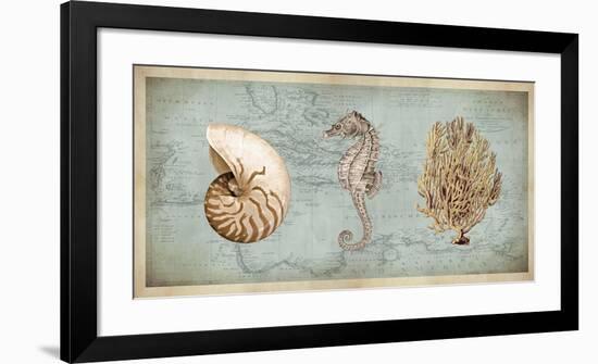 Sea Treasures I-Deborah Devellier-Framed Giclee Print