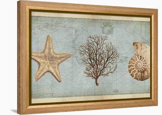 Sea Treasures II-Deborah Devellier-Framed Stretched Canvas