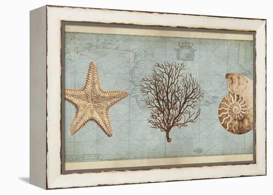 Sea Treasures II-Deborah Devellier-Framed Stretched Canvas