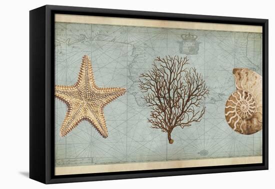 Sea Treasures II-Deborah Devellier-Framed Stretched Canvas