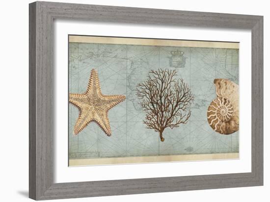 Sea Treasures II-Deborah Devellier-Framed Art Print