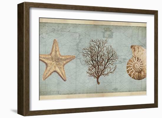 Sea Treasures II-Deborah Devellier-Framed Art Print