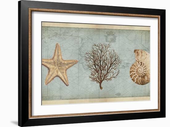 Sea Treasures II-Deborah Devellier-Framed Art Print