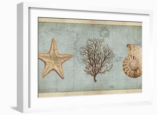 Sea Treasures II-Deborah Devellier-Framed Art Print