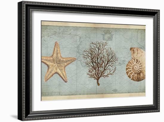 Sea Treasures II-Deborah Devellier-Framed Art Print