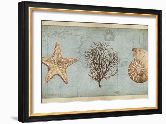 Sea Treasures II-Deborah Devellier-Framed Art Print