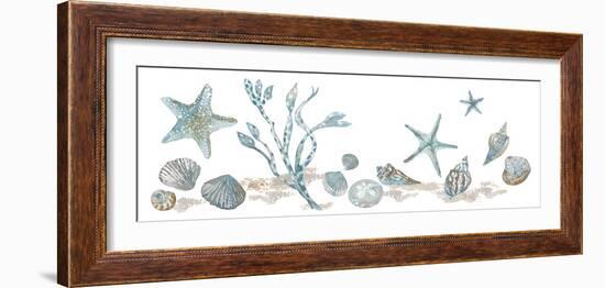 Sea Treasures - Shells-Sandra Jacobs-Framed Giclee Print
