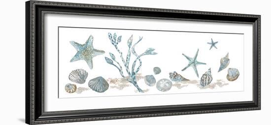 Sea Treasures - Shells-Sandra Jacobs-Framed Giclee Print