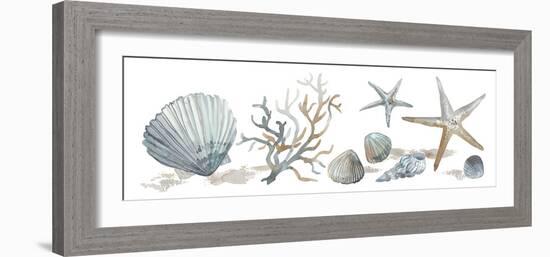 Sea Treasures-Sandra Jacobs-Framed Giclee Print