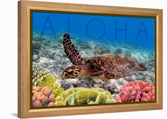 Sea Turtle and Coral - Aloha-Lantern Press-Framed Stretched Canvas