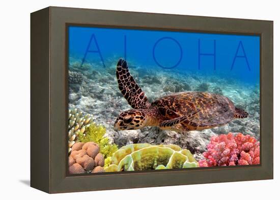 Sea Turtle and Coral - Aloha-Lantern Press-Framed Stretched Canvas