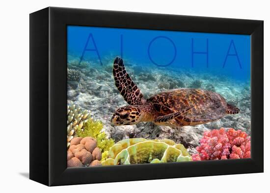 Sea Turtle and Coral - Aloha-Lantern Press-Framed Stretched Canvas