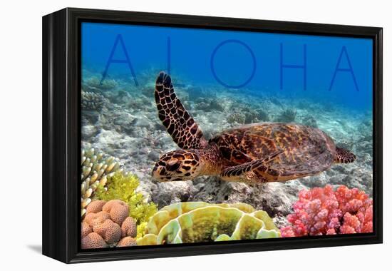 Sea Turtle and Coral - Aloha-Lantern Press-Framed Stretched Canvas