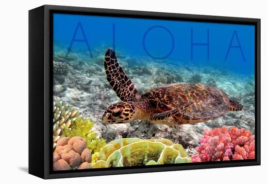 Sea Turtle and Coral - Aloha-Lantern Press-Framed Stretched Canvas