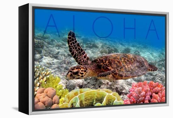 Sea Turtle and Coral - Aloha-Lantern Press-Framed Stretched Canvas